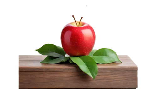 worm apple,rose apple,jew apple,piece of apple,star apple,red apple,apple logo,bell apple,wild apple,apple design,core the apple,edible fruit,a fruit chestnut,apple pie vector,woman eating apple,chopping board,naturopathy,red apples,red fruit,half of an apple,Illustration,Retro,Retro 10