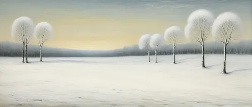 winter landscape,snow trees,snow landscape,birch forest,winter forest,birch trees,row of trees,snow scene,forest landscape,winter dream,snowy landscape,salt meadow landscape,bare trees,christmas landscape,ice landscape,winter morning,snow fields,carol colman,tree grove,winter background,Illustration,Black and White,Black and White 23