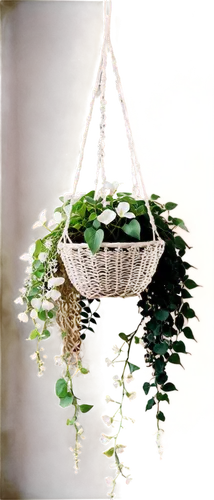 hanging basket,hanging plant,hanging lantern,hanging plants,hanging decoration,herbal cradle,junshan yinzhen,wisteria shelf,star jasmine,hanging willow,hanging chair,ornamental plants,jewelry basket,ornamental plant,garden swing,naturopathy,hanging geraniums,garden decor,lantern plant,tulsi seeds,Illustration,Realistic Fantasy,Realistic Fantasy 02