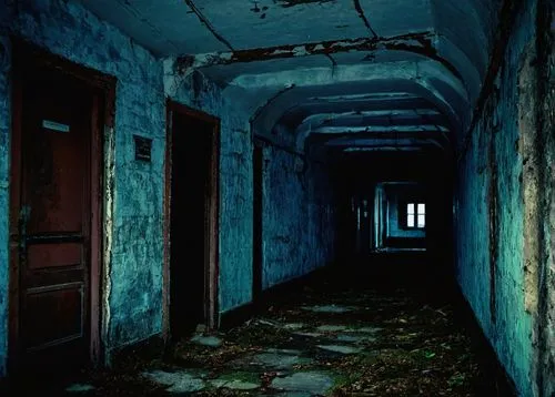 abandoned room,hallway,asylum,creepy doorway,corridor,urbex,abandoned place,abandoned places,cold room,haunted house,abandoned house,disused,eastern state penitentiary,a dark room,empty interior,penumbra,the haunted house,creepy house,dormitory,basement,Illustration,Retro,Retro 23