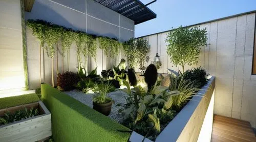 modern garden , modern architecture , modern villa , contemporary , night view , realistic,garden design sydney,landscape design sydney,landscape designers sydney,balcony garden,roof garden,roof terra