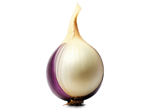 persian onion,garlic bulb,hardneck garlic,bulgarian onion,head of garlic,onion,pearl onion,cultivated garlic,garlic,clove garlic,chinese garlic,eggplant,onion bulbs,shallot,red garlic,red onion,roasted garlic,welsh onion,sweet garlic,a clove of garlic,Conceptual Art,Daily,Daily 26