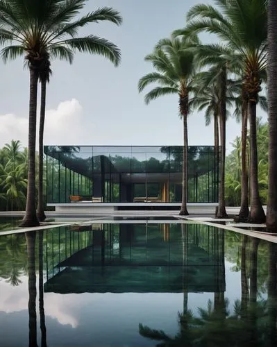 amanresorts,mirror house,pool house,champalimaud,adjaye,glasshouse,futuristic art museum,damac,tropical house,reflecting pool,aqua studio,infinity swimming pool,glass wall,luxury property,dreamhouse,gagosian,glass facade,palm garden,florida home,modern house,Photography,Documentary Photography,Documentary Photography 34