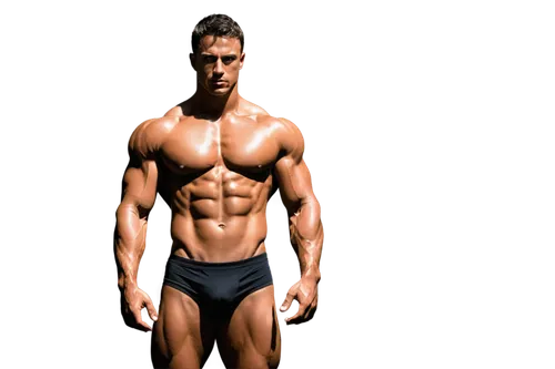 body building,sculpt,polykleitos,hrithik,clenbuterol,obliques,physiques,bodybuilder,musculature,muscularity,3d figure,3d rendered,3d rendering,3d render,3d man,trenbolone,bodybuilding,serratus,muscle angle,muscle icon,Illustration,Vector,Vector 01