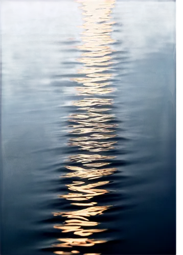 Transparent water, calm surface, subtle ripples, soft sunlight, realistic reflection, detailed droplets, gentle waves, shallow depth, warm color tone, cinematic lighting, 3/4 composition, close-up sho