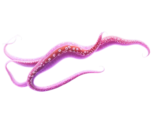 Tentacles, aquatic creature, long slimy appendages, suckers on tentacles, soft pinkish brown texture, glowing bioluminescent spots, wavy movement, floating in mid-air, close-up shot, shallow depth of 