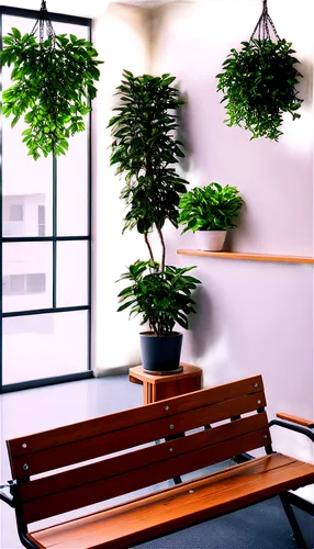 potted plants,houseplant,houseplants,green plants,bonsai tree,house plants,boxwoods,potted plant,tube plants,waiting room,potted tree,philodendrons,hanging plants,plants,metasequoia,atriums,bamboo plants,seating area,green plant,hanging plant,Illustration,Realistic Fantasy,Realistic Fantasy 41