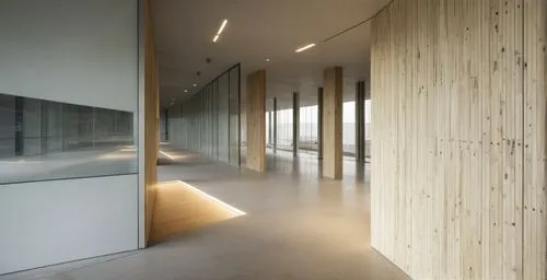 associati,hallway space,snohetta,paneling,dinesen,exposed concrete,glass wall,architraves,wooden wall,balustraded,corian,dunes house,architektur,laminated wood,penthouses,hallway,archidaily,interior modern design,wood floor,siza,Photography,General,Natural