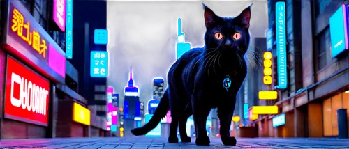 black cat,alley cat,halloween black cat,feral,stray cat,the cat,rescue alley,street cat,felidae,stray,jiji the cat,panther,cat vector,hollyleaf cherry,alley,3d render,feline,cartoon cat,halloween cat,alleyway,Conceptual Art,Sci-Fi,Sci-Fi 26