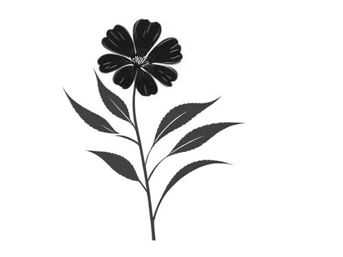 flowers png,lotus leaf,lotus png,minimalist flowers,rose leaf,fig leaf,Design Sketch,Design Sketch,Rough Outline