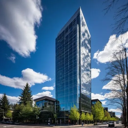 genzyme,phototherapeutics,orenco,ohsu,centurylink,spokane,ubc,synopsys,pc tower,tukwila,beaverton,spu,home of apple,opb,bridgepoint,bellevue,company headquarters,uwb,calpers,clackamas,Photography,Documentary Photography,Documentary Photography 38