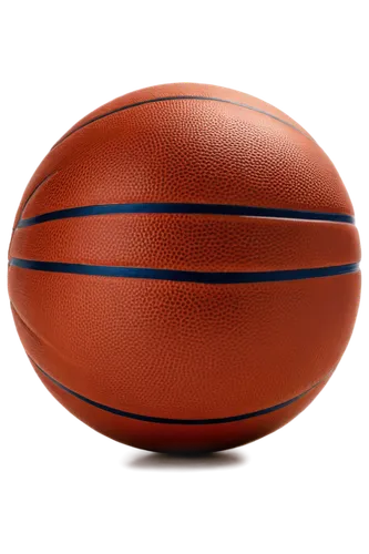 basketballs,length ball,ball,basketbol,vector ball,basketbal,basketball,wooden ball,kristbaum ball,ballhandler,roundball,woman's basketball,centrobasket,corner ball,baloncesto,euroleague,girls basketball,the ball,ball sports,cerball,Illustration,Vector,Vector 15