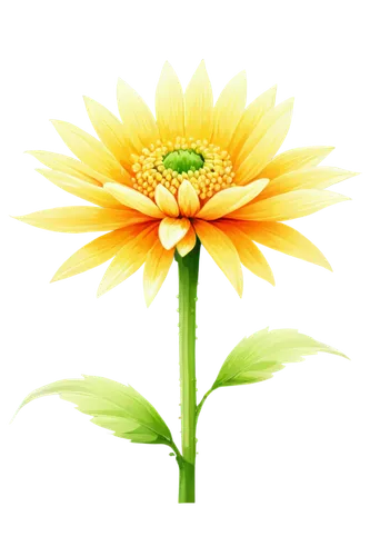 yellow gerbera,flowers png,flower illustrative,yellow calendula flower,yellow chrysanthemum,sunflower lace background,flower illustration,calenduleae,yellow flower,chrysanthemum background,flower background,calendula,gazania,helianthus,calendula flower,small sun flower,marigold flower,calendula officinalis,yellow rose background,sunflower coloring,Illustration,Black and White,Black and White 35