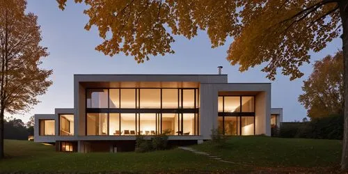 modern house,eisenman,seidler,cube house,residential house,tugendhat,modern architecture,forest house,minotti,cubic house,mahdavi,timber house,siza,vitra,contemporary,aalto,villa,dunes house,bohlin,tonelson,Photography,General,Realistic