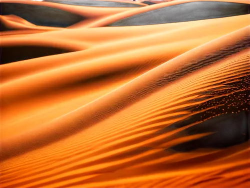 Golden sand, warm texture, gentle dunes, soft ridges, subtle shadows, close-up shot, macro photography, natural light, high contrast, vibrant color tone, detailed grains, realistic rendering, shallow 