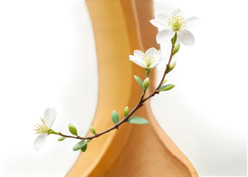 cherry blossom branch,bookmark with flowers,ikebana,background bokeh,artificial flower,flower background,night-blooming jasmine,decorative flower,flower vase,almond flower,spring leaf background,winter jasmine,jasmine flower,yinzhen,flowers png,flower decoration,spring background,flower bud,argan tree,plum blossom,Unique,Design,Character Design