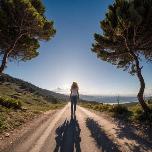 a person standing on a road with trees,woman walking,girl walking away,woman silhouette,the road to the sea,long road,buencamino