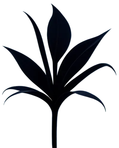 growth icon,garden logo,lotus png,oil-related plant,mape leaf,palm tree vector,lotus leaf,mugwort,century plant,sapling,four-leaf,oleaceae,tropical leaf,ornamental plants,smooth solomon's seal,custody leaf,perennial plants,botanical,sabal palmetto,fig leaf,Art,Artistic Painting,Artistic Painting 08