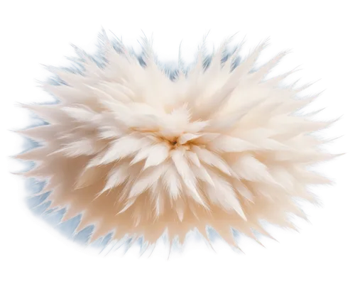 sea-urchin,pompom,sea urchin,conifer cone,flaccid anemone,sea anemone,spiny sea shell,blowball,buttonbush,enokitake,large anemone,pom-pom,hedgehog head,urchin,filled anemone,spiny,gradient mesh,ostrich feather,star anemone,new world porcupine,Conceptual Art,Daily,Daily 12
