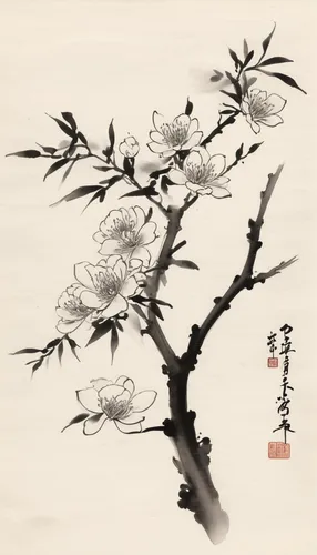 plum blossoms,plum blossom,junshan yinzhen,chinese art,japanese floral background,oriental painting,silk tree,apricot flowers,japanese art,apricot blossom,the japanese tree,cool woodblock images,blossom tree,ikebana,white blossom,tieguanyin,baihao yinzhen,spring festival,chrysanthemum tea,chinese magnolia,Illustration,Paper based,Paper Based 30