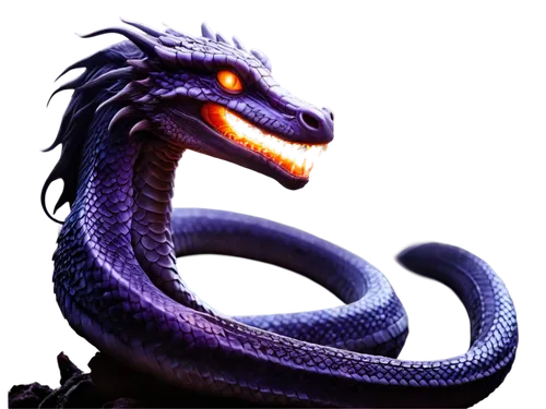 black dragon,dragon li,wyrm,basilisk,chinese dragon,draconic,dragon design,dragon,painted dragon,noodle image,emperor snake,dragon of earth,purple,black mamba,chinese water dragon,dark-type,twitch icon,wall,goanna,serpent,Illustration,Abstract Fantasy,Abstract Fantasy 10