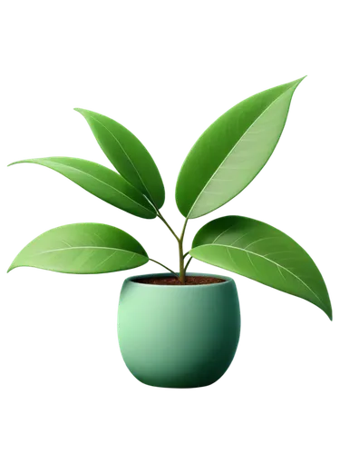 potted plant,growth icon,potted palm,container plant,plant pot,money plant,houseplant,pot plant,oil-related plant,green plant,tea plant,rank plant,garden pot,potted tree,plant,bellenplant,aromatic plant,thick-leaf plant,perennial plant,flowerpot,Art,Artistic Painting,Artistic Painting 41