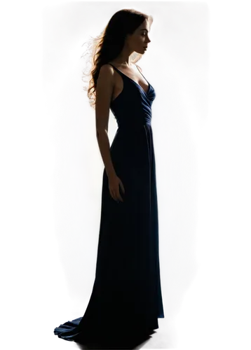 celtic woman,margaery,sirenia,margairaz,woman silhouette,seoige,idina,celtic queen,evening dress,tessmacher,evanescence,carice,fiordiligi,pregnant woman icon,netrebko,arwen,sigyn,gothic dress,girl in a long dress,lady of the night,Illustration,Realistic Fantasy,Realistic Fantasy 29