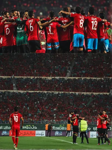 albania,team spirit,chilean,the sea of red,celebration,european football championship,red milan,the portuguese,portugal,dalian,chile,united,tunisia,chilean flag,bayern,thank you chile,champions,armenia,treble,celebrate,Photography,Documentary Photography,Documentary Photography 25