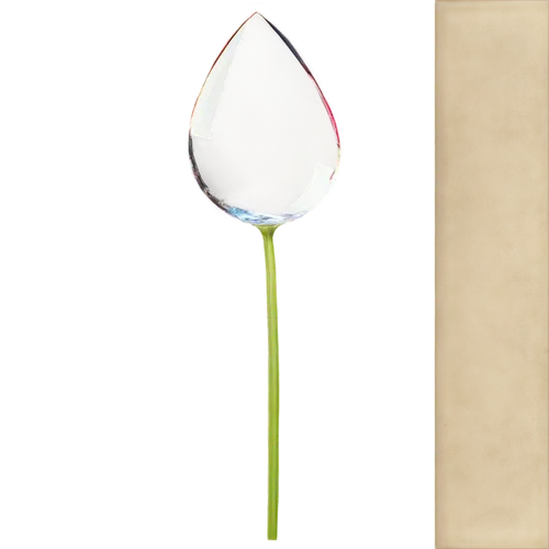 tulip white,flowers png,turkestan tulip,tulip,fleur de sel,two tulips,tulip background,wineglass,plastic flower,tulipa,tulip blossom,vineyard tulip,egg spoon,a spoon,wine glass,calla lily,violet tulip,lampion flower,spoon lure,white tulips,Conceptual Art,Graffiti Art,Graffiti Art 06