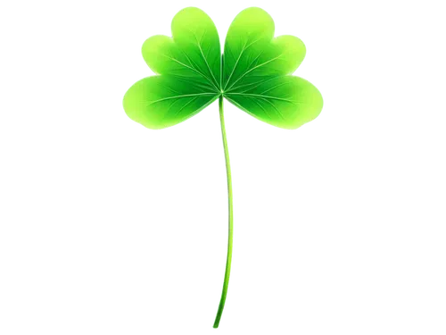 4-leaf clover,five-leaf clover,four-leaf clover,four leaf clover,a four leaf clover,medium clover,4 leaf clover,three leaf clover,shamrock balloon,shamrock,clovers,patrol,lucky clover,long ahriger clover,cleanup,narrow clover,shamrocks,clover flower,clover leaves,dutch clover,Art,Artistic Painting,Artistic Painting 24