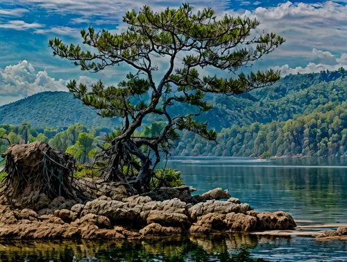 Impressionism in style of Renoir , colorful, shades of green, more blue sky,pine tree,lake baikal,pine-tree,vancouver island,antorno lake,baikal lake,granite island,lake bled,islet,background view nat