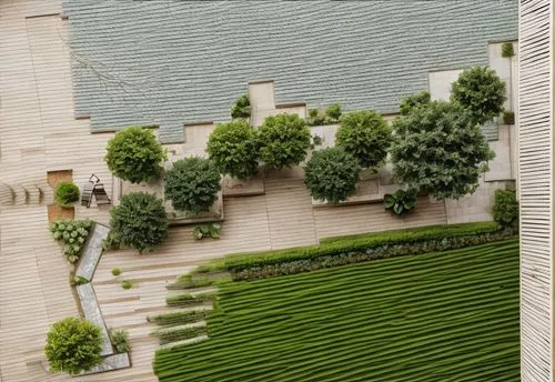 terraces,terraced,roof garden,garden elevation,balcony garden,hedge,grass roof,garden design sydney,bushes,roof landscape,gardens,terrace,urban design,green plants,manicured,green garden,balcony plant