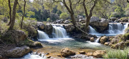 water flowing,jordan river,krka national park,water flow,source de la sorgue,gioc village waterfall,flowing water,cascading,green waterfall,a small waterfall,water spring,water falls,mineral spring,rafeiro do alentejo,wasserfall,waterfalls,mountain spring,riparian forest,conguillío national park,brown waterfall