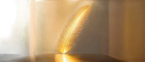 Soft rays of light, warm glow, gentle illumination, divine ambiance, feathery texture, subtle gradient, shimmering effect, golden hues, serene atmosphere, 3/4 composition, shallow depth of field, cine