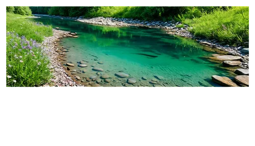 green water,nature background,green wallpaper,background view nature,nature wallpaper,landscape background,greenwater,samsung wallpaper,clear stream,mountain spring,mountain stream,frog background,river landscape,background with stones,jezero,streambank,a river,green landscape,aaaa,free background,Conceptual Art,Graffiti Art,Graffiti Art 10