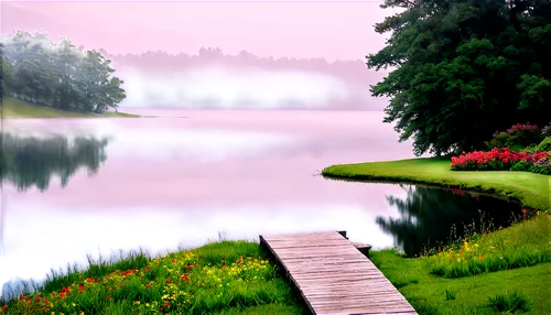 landscape background,nature background,forest lake,evening lake,world digital painting,lake,background view nature,small landscape,photo painting,the lake,digital painting,pond,tranquility,foggy landscape,nature landscape,lake view,beautiful lake,landscape nature,home landscape,cartoon video game background,Art,Artistic Painting,Artistic Painting 31