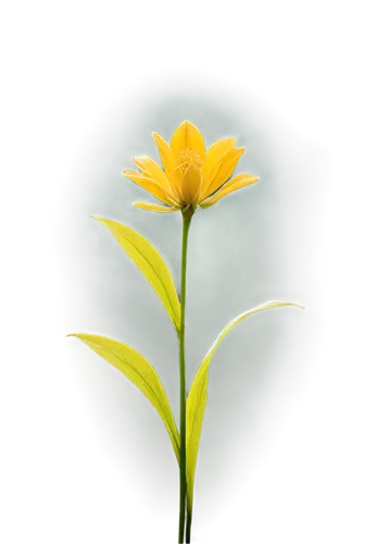 Vibrant yellow petals, tall stem, green leafy background, soft focus, warm sunlight, panoramic view, 3/4 composition, shallow depth of field, natural texture, realistic rendering, serene atmosphere, g