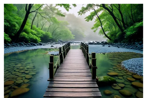 wooden bridge,flooded pathway,wooden path,pathway,hiking path,walkway,wooden pier,forest path,adventure bridge,scenic bridge,hanging bridge,the mystical path,nature wallpaper,aaaa,green forest,shaoming,japan landscape,nectan,river landscape,nature background,Illustration,Japanese style,Japanese Style 21