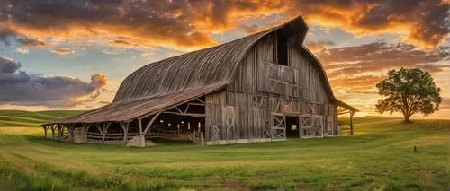 Rustic pole barn, rural landscape, sunset, wooden structure, metal roofing, weathered wood, natural texture, rolling hills, green pastures, few cows grazing, wildflowers blooming, old oak tree nearby,