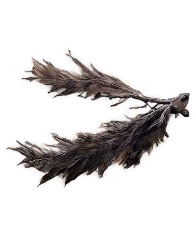 hawk feather,windhover,feather bristle grass,featherlike,chicken feather,bird wing,plumes,pigeon feather,griffon,feather on water,wind edge,feather,bird feather,rivenbark,constellation wolf,flying dog,feathered race,tridents,porcupine,gryphon,Conceptual Art,Fantasy,Fantasy 08