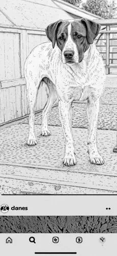 nintendogs,dog frame,wireframe graphics,zun,macpaint,dog drawing,comic halftone,dog illustration,dog line art,miiverse,color halftone effect,sombrero,dog cartoon,dogana,puga,heeler,halftone background,opengl,my clipart,jack russell,Design Sketch,Design Sketch,Black and white Comic