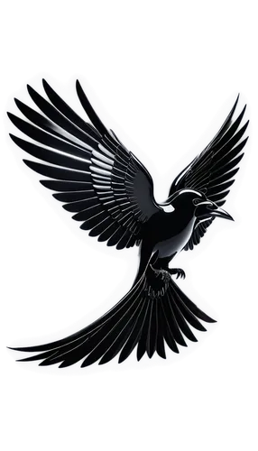 karasu,eagle vector,uniphoenix,dove of peace,twitter logo,aurealis,starhawk,aquila,petrel,aqim,deathbird,darkhawk,killraven,microraptor,fenix,rapace,schadler,insignia,battery icon,blackbirdest,Photography,Artistic Photography,Artistic Photography 15