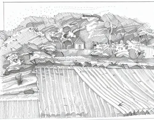 farm landscape,agricultural,farm,lavaux,rural landscape,vineyards,village scene,villages,priorat,landscape plan,wachau,farmland,wine-growing area,farms,building valley,kalo chorio,condat-sur-vézère,farmlands,the farm,landscape,Design Sketch,Design Sketch,Fine Line Art