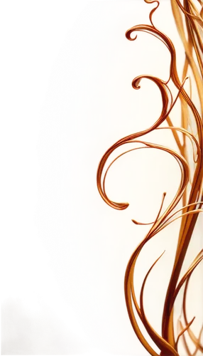 abstract backgrounds,abstract gold embossed,tendrils,apophysis,spiral background,tresses,gold filigree,tangles,gold paint strokes,sunburst background,gold paint stroke,coffee background,hairpieces,hair ribbon,burning hair,abstract background,wind edge,banner,untangles,whisk,Illustration,Retro,Retro 08