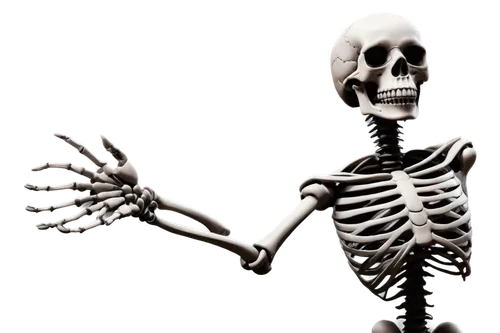 skeleltt,skeletal,vintage skeleton,human skeleton,skeleton,calcium,skeleton hand,bone,skeletal structure,skeletons,bones,day of the dead skeleton,endoskeleton,die,bowl bones,danse macabre,wood skeleton,scull,fetus skull,vanitas,Conceptual Art,Sci-Fi,Sci-Fi 11