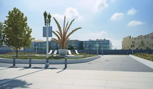 An Architectural rendering of A street with sculptural park to the right,this is an architectural view of an empty lot,biotechnology research institute,technopark,skolkovo,technion,qmu,ucd,Photography