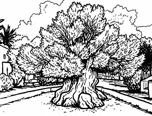 coloring pages,coloring page,apfelbaum,rosewood tree,ornamental tree,flourishing tree,lieberbaum,koestenbaum,kierszenbaum,bichlbaum,acorn oak,weizenbaum,tree,ash tree,lindenbaum,oak tree,arbol,felberbaum,macrocarpa,a tree,Design Sketch,Design Sketch,Rough Outline