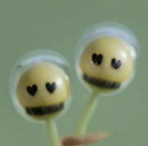 眼睛是爱心型,two lollipops in the shape of hearts have black centers,arabidopsis,marasmius,dandelion seeds,stamens,camomile flower,close up stamens