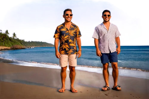 beach background,hawaiians,greenscreen,tahitians,kaftans,frankmusik,coconspirators,png transparent,luau,fekeiki,polynesians,barotropic,sertanejo,hawaiiensis,vacansoleil,jagan,waikaremoana,riptides,anjuna,hawai,Art,Artistic Painting,Artistic Painting 05