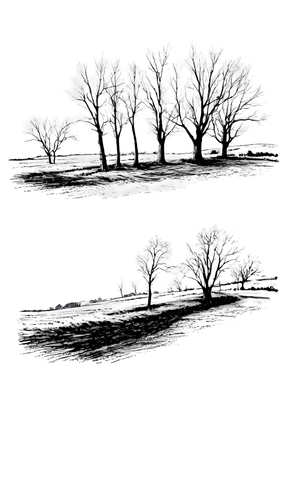 row of trees,treeline,snow trees,stereograms,stereoscopic,copse,walnut trees,trees,copses,deciduous trees,bare trees,stereoscopy,virtual landscape,tree grove,halloween bare trees,black landscape,nightscape,plane trees,the trees,light paint,Illustration,Black and White,Black and White 35